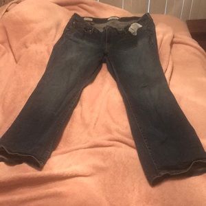 Torrid jeans